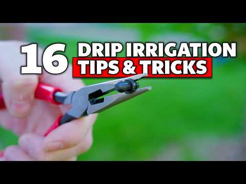 16 Drip Irrigation Tips & Tricks