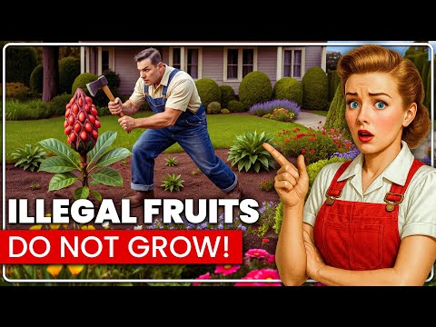 20 ILLEGAL Fruits You CAN'T Grow In American Gardens