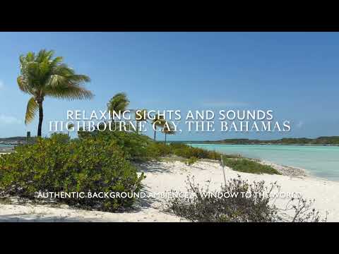 Highbourne Cay Paradise: Palm Tree & Ocean Breezes in The Bahamas
