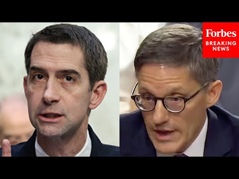 ‘Another Example Of The Bad Judgement You’ve Displayed’: Tom Cotton Attacks Key Nominee