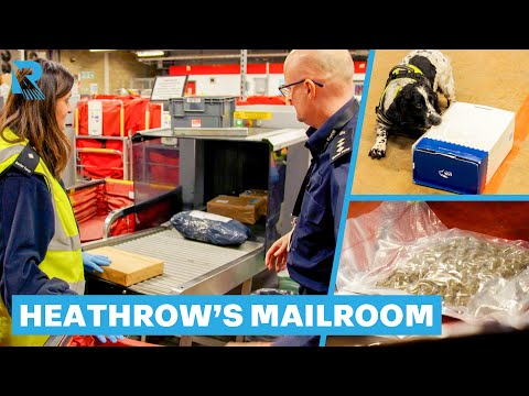 Border Dogs Sniff Out Drugs Arriving In Post | Heathrow: Britain's Busiest Airport | Double Episode