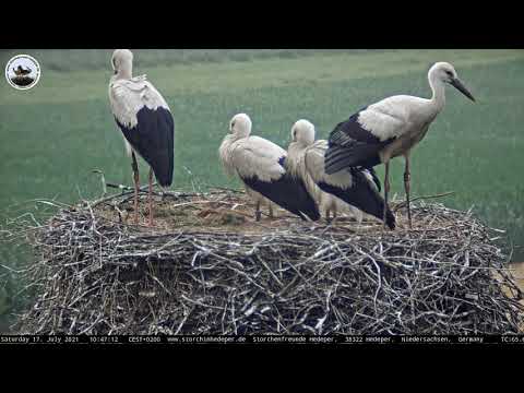 Erstflug 17.07.2021 10:46 Uhr von Storch 3V314