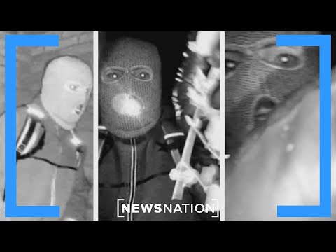 FBI increases reward, releases description of masked suspect at Nancy Guthrie home | The Hill