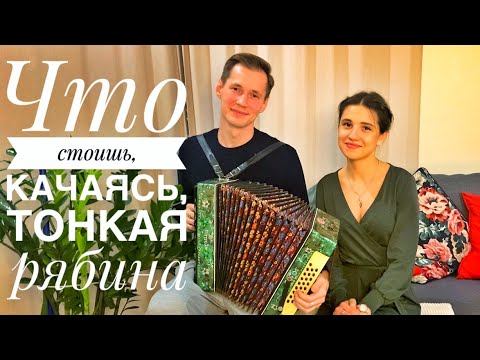 ТОНКАЯ РЯБИНА || ЧТО СТОИШЬ КАЧАЯСЬ || ЛЮБИМАЯ ПЕСНЯ МОЕЙ БАБУШКИ || ЛЮБИМЫЕ ПЕСНИ ПОД ГАРМОНЬ