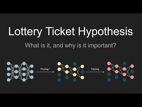 What is the Lottery Ticket Hypothesis, and why is it important?