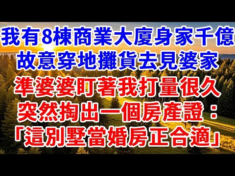 我有8棟商業大廈身家千億，故意穿地攤貨去見婆家。餐桌上準婆婆盯著我打量很久，突然掏出一個房產證，說“這別墅當婚房正合適”。#思妤說故事#為人處世#生活經驗#情感故事#晚年哲理#說故事#完結文#原創故事