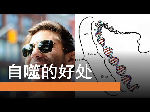 开启抗衰老模式 🎍  打开长寿基因 | 自噬带来的好处