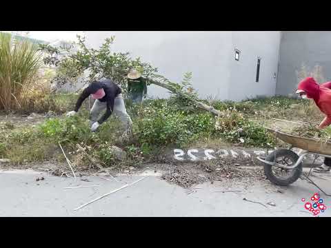 We Gained Attention from Locals and Officials Cleaning Sidewalks in a Super-Rich Neighborhood.