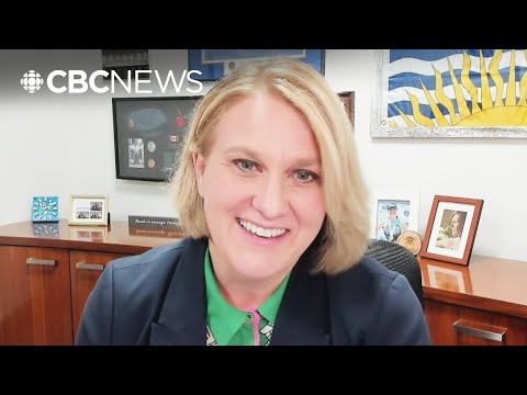 John Rustad's resignation in the best interest of British Columbians, MLA says