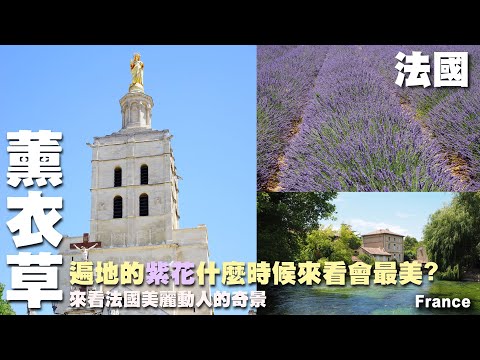 遍地的紫色浪漫什麼時候來看會最美?法國奇蹟似的薰衣草美景看到爽~法國旅遊~普羅旺斯|亞維農|艾克斯| 碧泉村|魯西永 France