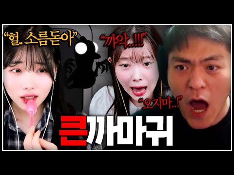 온몸에 소름 돋는 신직업