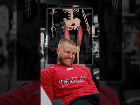 Best Scientific Leg Workout For 2025