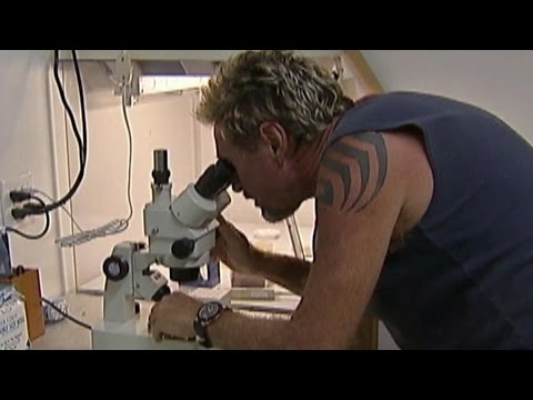 John McAfee's lab in Belize raided on suspicions he was making meth: Part 2