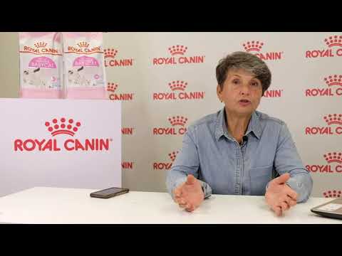 Инбридинг: враг, друг или простоинструмент, которым просто нужно уметь пользоваться?