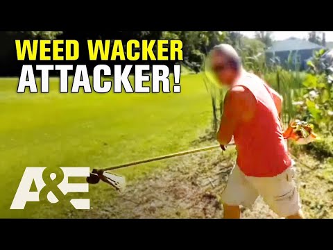 Neighborhood Wars: The Wildest Moments from Season 8 | A&E