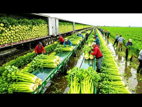 Más de 45+ cosechas que no podrás creer 💥 El gran evento agrícola de 2025 en pleno desarrollo