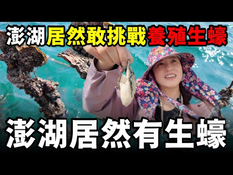 以後是不是能夠買到『澎湖』生產的高級生蠔了？？！ 台灣人勇敢嘗試養殖生蠔，佩服！