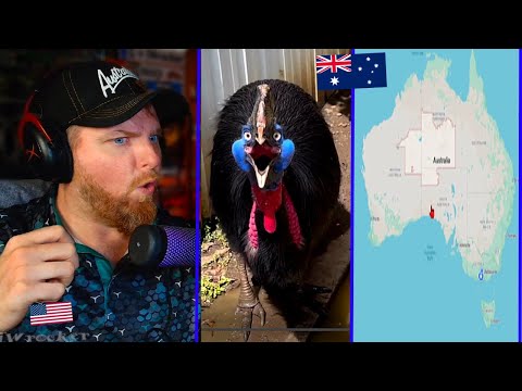 These Australian Videos are bound to KNOCK YOUR SOCKS OFF!🚨