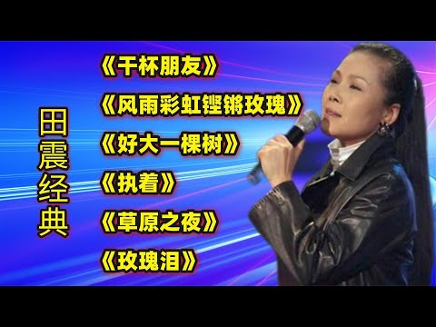 田震经典《干杯朋友》《风雨彩虹铿锵玫瑰》《好大一棵树》执着