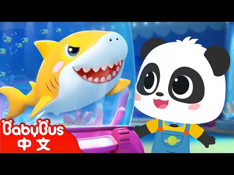 奇奇和妙妙第一次去海洋館🐬🐠 | 奇奇和妙妙的一天 | Baby Shark | 動物認知，學顏色 | 中文兒歌 | 童謠 | 卡通, 動畫 | 寶寶巴士 | BabyBus