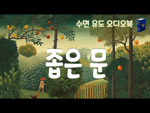 Strait Is the Gate by André Gide ㅣ Korean Audiobook ㅣSleep Aid in Korean Language