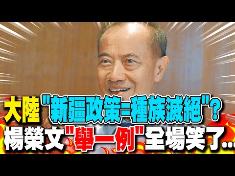 大陸"新疆政策=種族滅絕"? 楊榮文"舉一例"全場笑了...