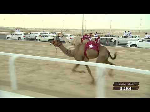 نوضا لـ ناصر عبدالله أحمد المسند (مهرجان سمو الأمير المفدى 10/4/2019)السيف الفضي للحيل مفتوح 12:08:5