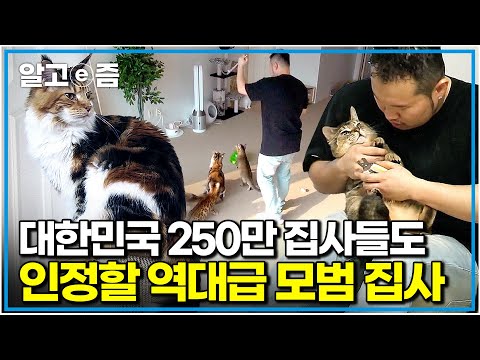 "이 정도면 천국 아니에요?" 냐옹신도 엄지 척👍 이미 완벽하게 돌보지만, 더 행복하게 해주고 싶다는 고양이 대가족 집사｜고양이를 부탁해｜알고e즘