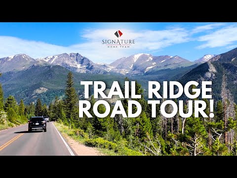 Trail Ridge Road Tour: Scenic Drive to Alpine Visitor Center | Rocky Mountain National Park