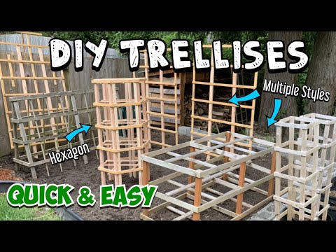 How to Make a Trellis: Multiple Options and Skill Levels (Full Tutorials & Quick Walkthroughs)