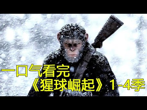 一口气看完超经典美国科幻大片《猩球崛起》第1-4季，凯撒从第一次开口说话到悲惨落幕