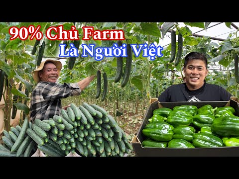 Người Việt Đem Nền Nông Nghiệp Sang Úc Định Cư