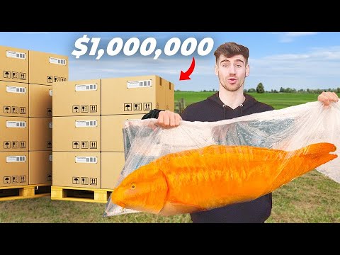 $1,000,000 Koi Unboxing! (World Record)