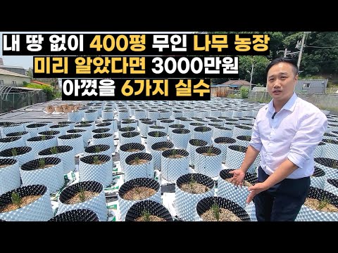 6 Regrettable Mistakes Made After Building a 400-Pyeong Unmanned Tree Farm on Leased Land