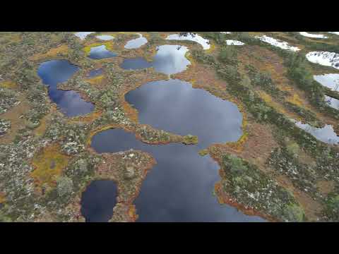 Häckelsängs högmosse och Gnagmur Naturreservat
