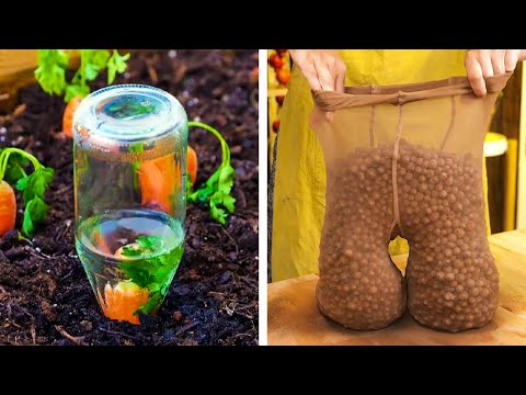 Полезные хитрости для упрощения садоводства 🌱