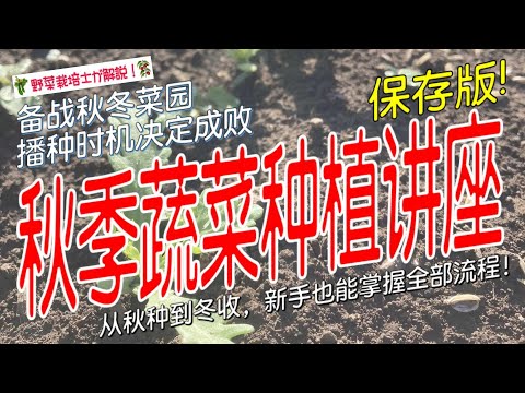 【秋季种菜完整指南】别让菜园闲置！从选种到收获，全流程覆盖（新手必看）
