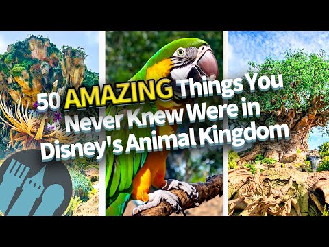 50 AMAZING Things You Never Knew Were in Disney's Animal Kingdom