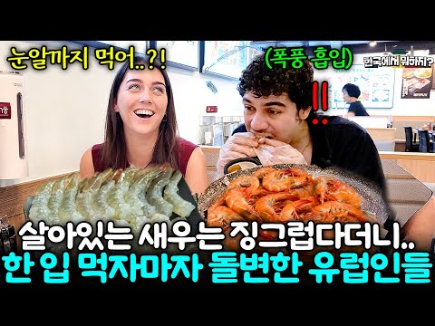 네덜란드 친구들이 난생처음 한국의 생새우를 한 입 먹자마자 돌변한 이유.. (네덜란드 야닉 3부) | 한국에서 뭐하지? EP.62