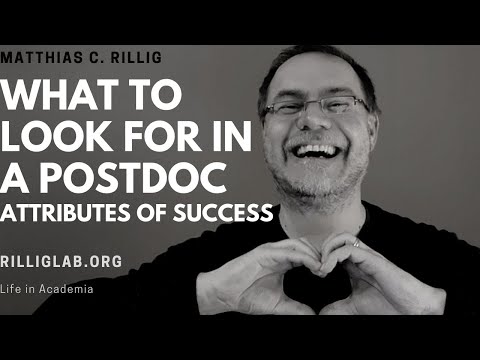 Attributes of successful postdoctoral researchers #postdoc #phd