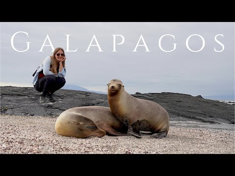 Galapagos Islands Cruise Part 1 - Best Snorkeling in the World!