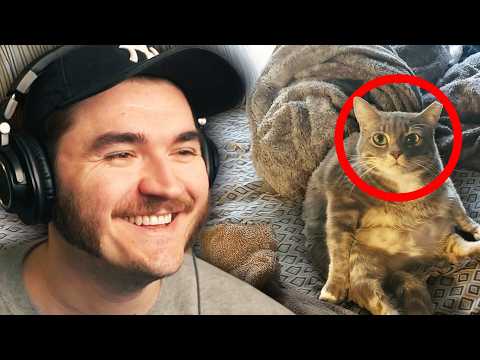 Ranking Your UNHINGED Bedrooms