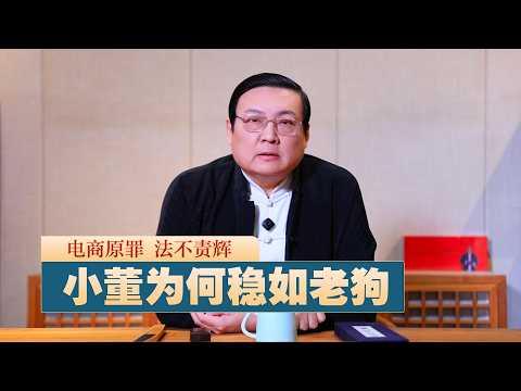 电商原罪 法不责辉:小董为何稳如老狗