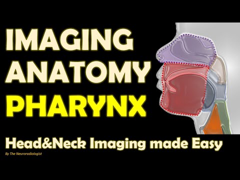 Imaging Anatomy of the Pharynx