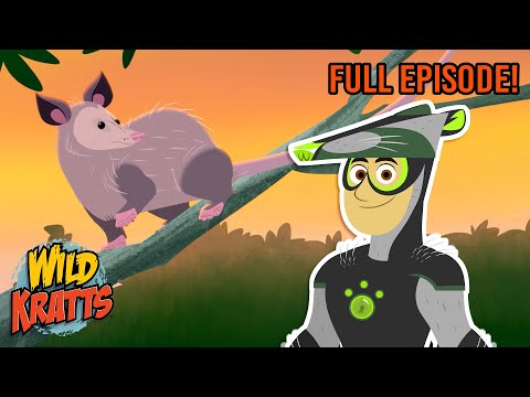 Opossum in My Pocket | Season 3 | Full Episode | Cartoons for Kids | Wild Kratts