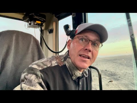 Dougo Looks for Traffic… in a Farm Field?!