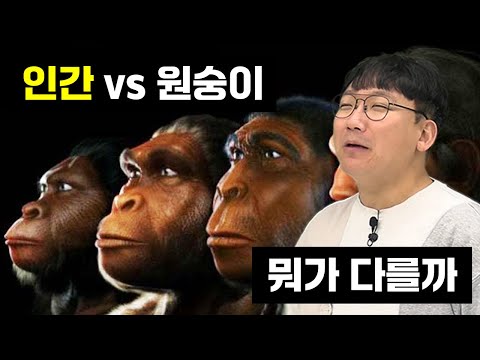 원숭이는 인간의 조상일까? [인간의 진화 1편]