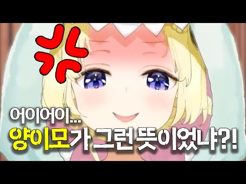 결국 '양이모'의 진짜 뜻을 알아버린 와타메