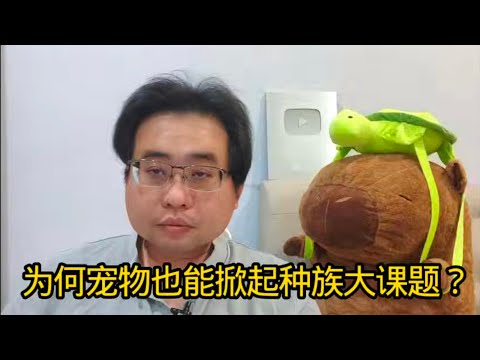 为何宠物也能掀起种族大课题？ 18-12-2025@ahchungtalkshow8911 