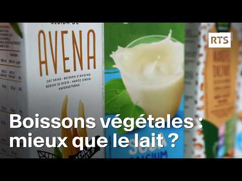 Les boissons végétales peuvent-elles remplacer le lait ? | RTS